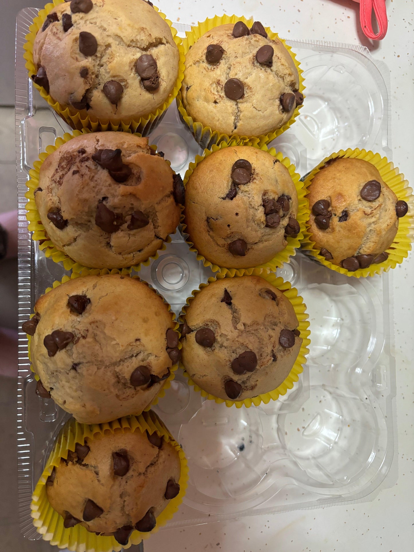 A tray displaying an assortment of chocolate chip muffins, each topped with melted chocolate chips and a golden crust